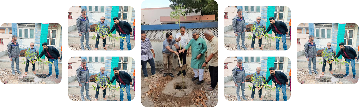 Volunteer to Transform Green Porbandar