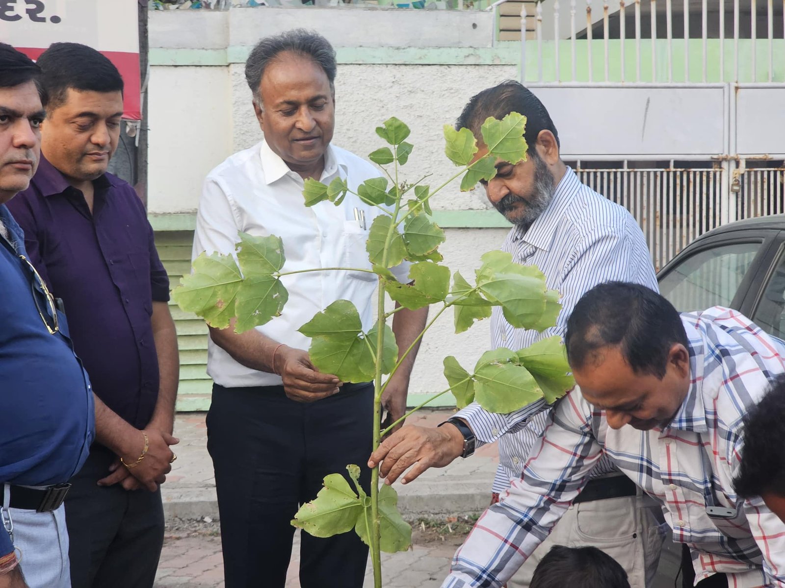 HEACT Planted 8,000 Trees in Porbandar